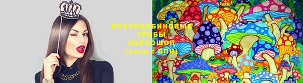 ECSTASY Алексеевка