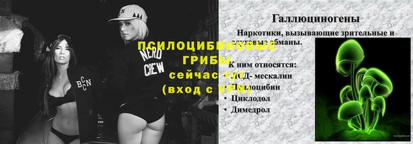 гашик Алзамай