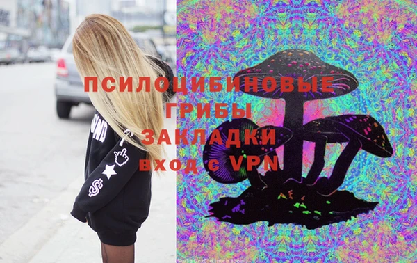 гашик Алзамай
