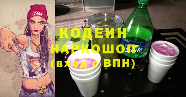 гашик Алзамай