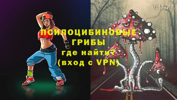 ECSTASY Алексеевка